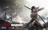 TombRaider (2013)